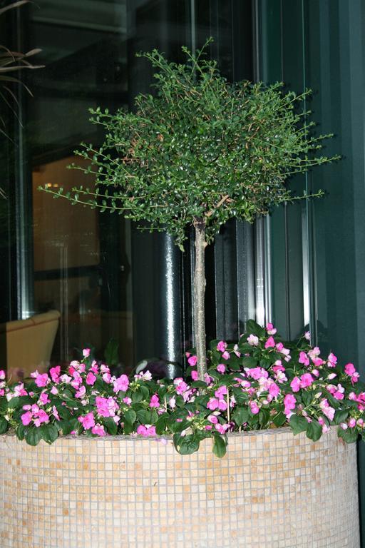 La Perla B&B Hotel Roseto Degli Abruzzi Bagian luar foto